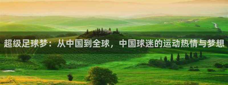 超级足球梦：从中国到全球，中国球迷的运动热情与梦想