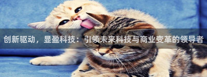 创新驱动，显盈科技：引领未来科技与商业变革的领导者