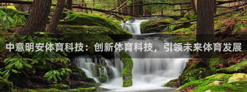中意明安体育科技：创新体育科技，引领未来体育发展