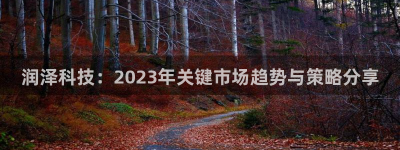 润泽科技：2023年关键市场趋势与策略分享