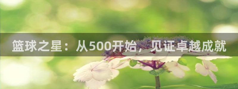 篮球之星：从500开始，见证卓越成就