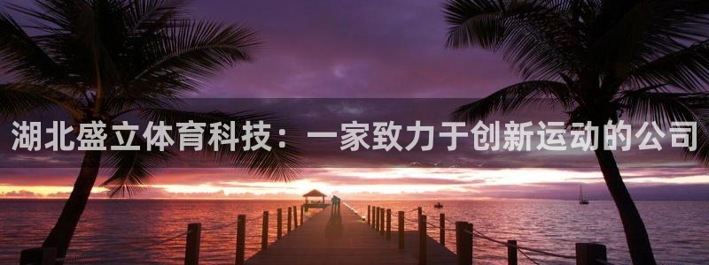 湖北盛立体育科技：一家致力于创新运动的公司