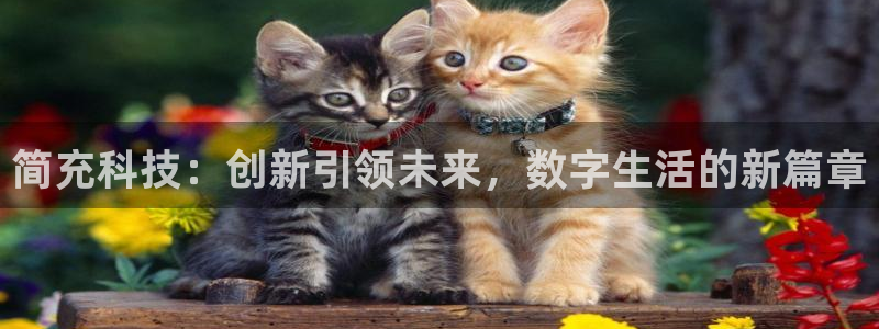 简充科技：创新引领未来，数字生活的新篇章