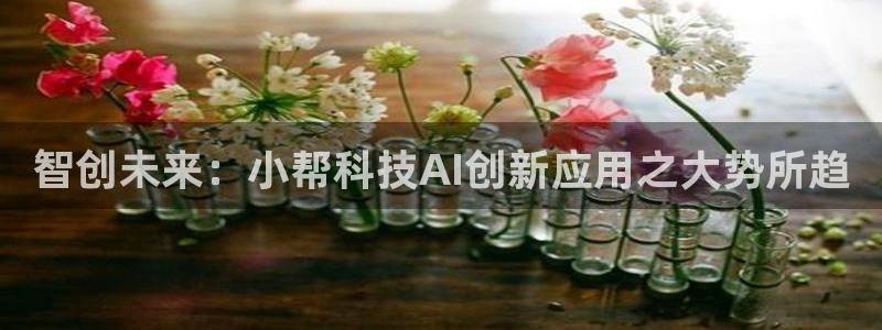 智创未来：小帮科技AI创新应用之大势所趋