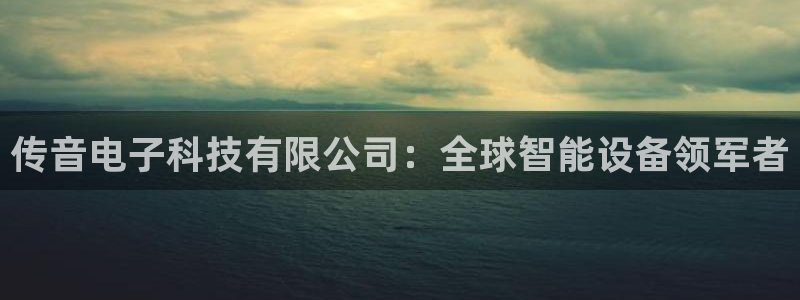 传音电子科技有限公司：全球智能设备领军者