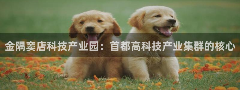 金隅窦店科技产业园：首都高科技产业集群的核心